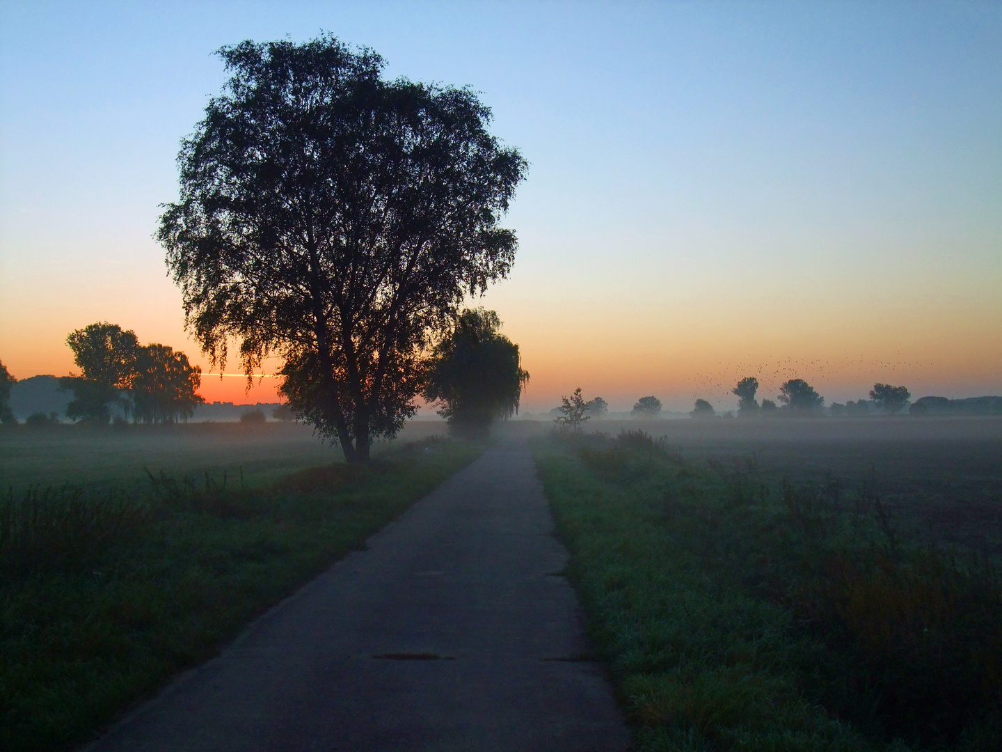 Morgengrauen