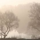 Morgengrauen am Tiefwarensee