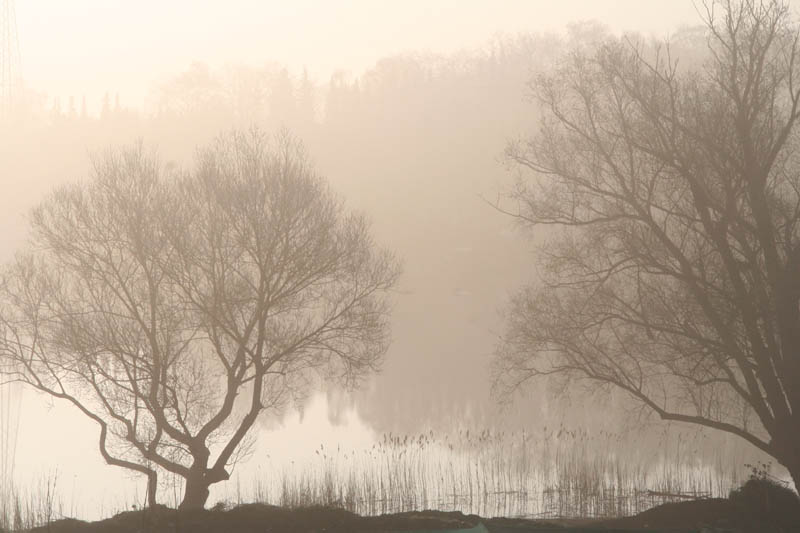 Morgengrauen am Tiefwarensee