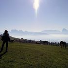 Morgengrauen auf der Latzfonser- Villanderer Alm