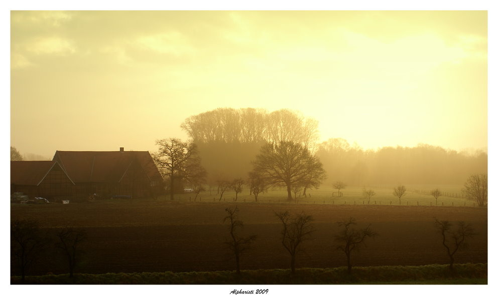 Morgengrauen