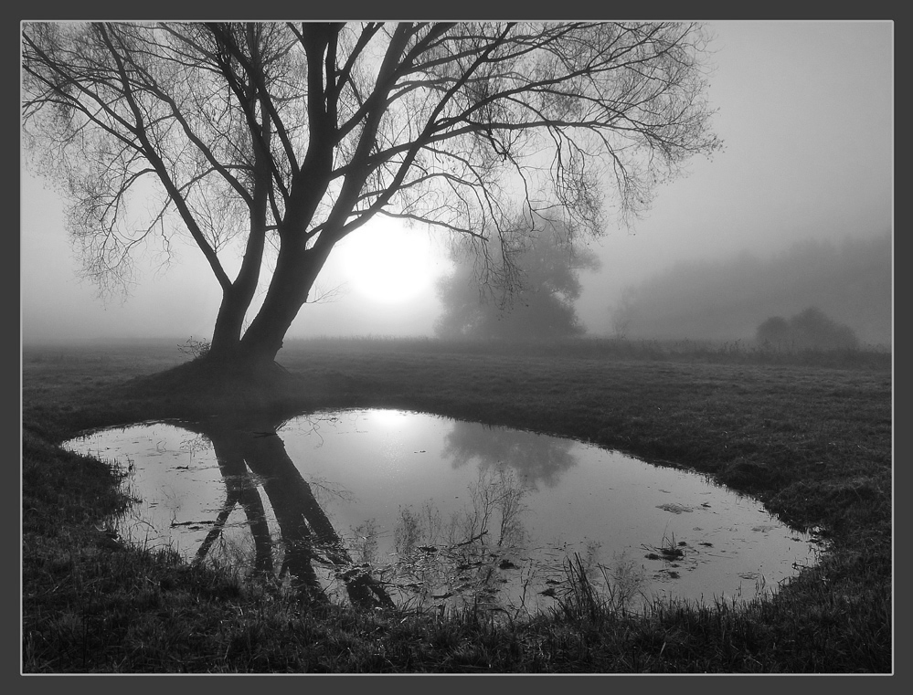 Morgengrauen bei Nebel