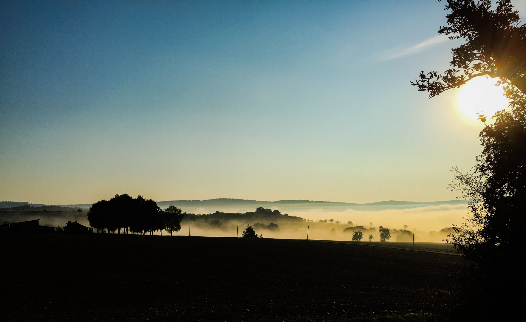 Morgengrauen