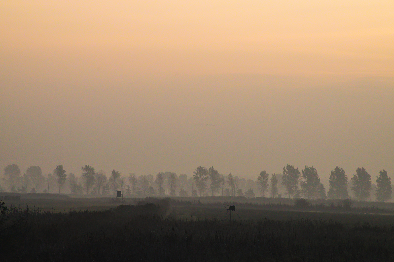 Morgengrauen