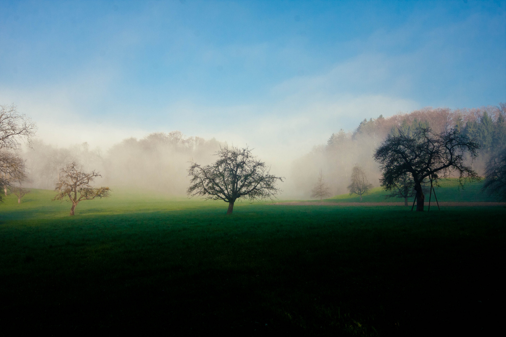 Morgengrauen