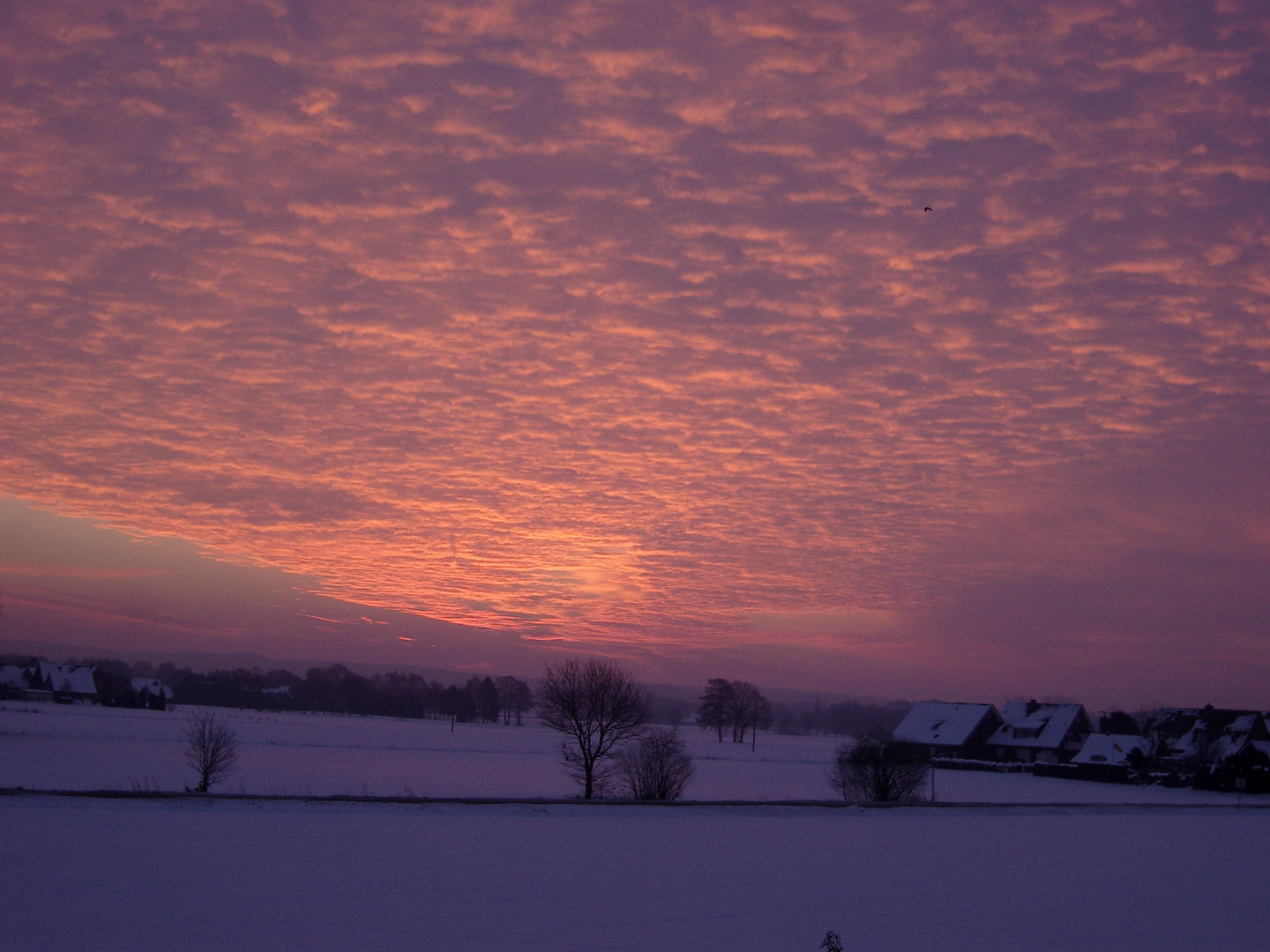 Morgengrauen