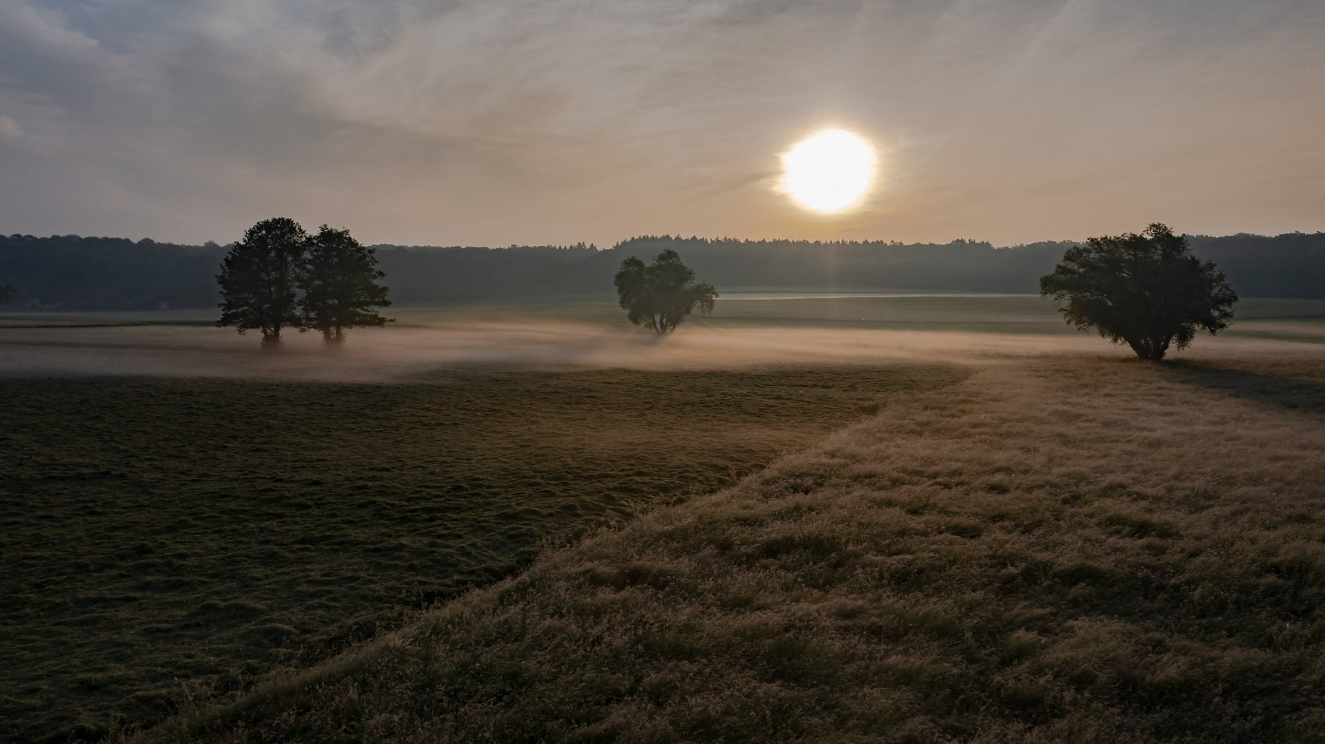 Morgengrauen II