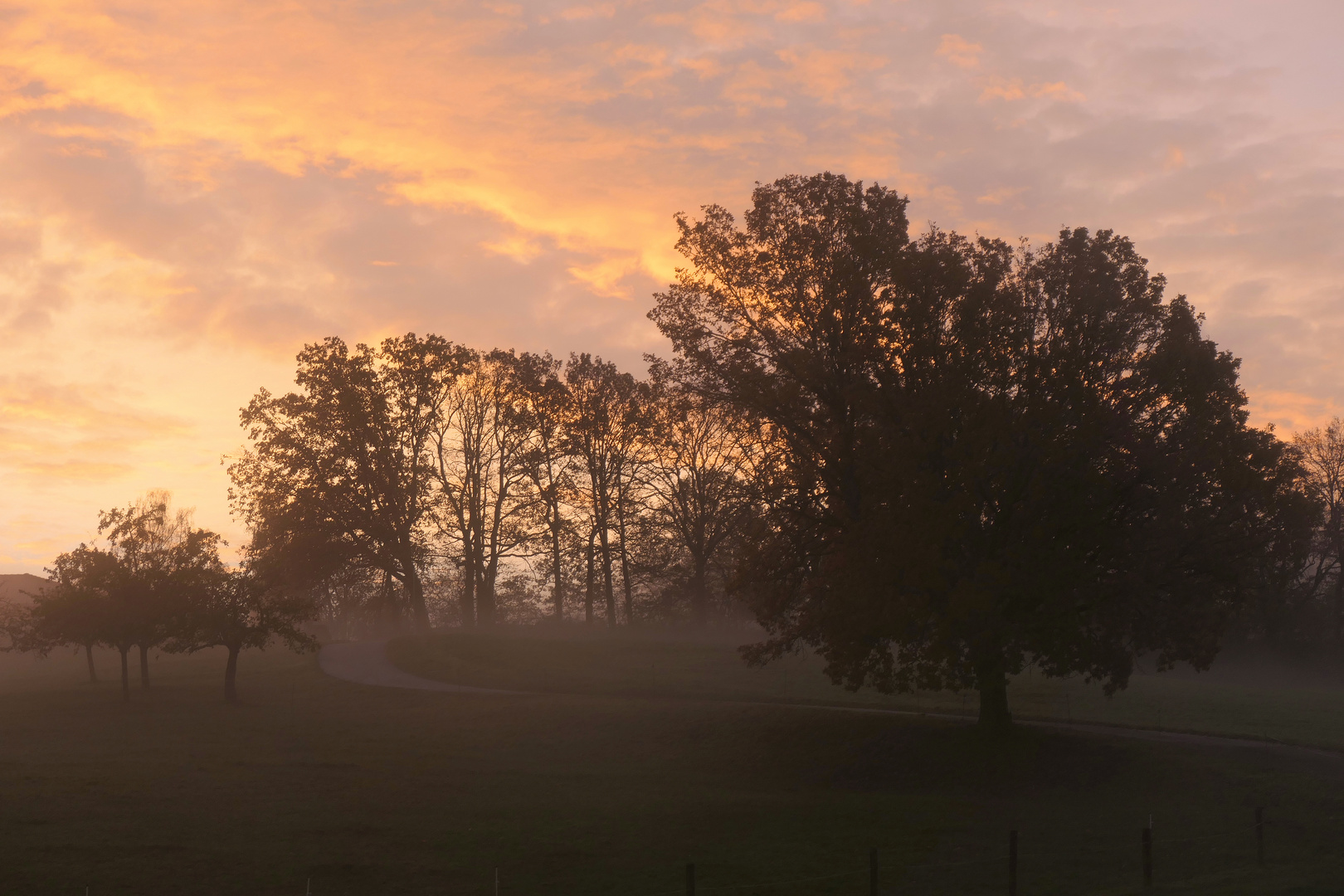 Morgengrauen im Herbst