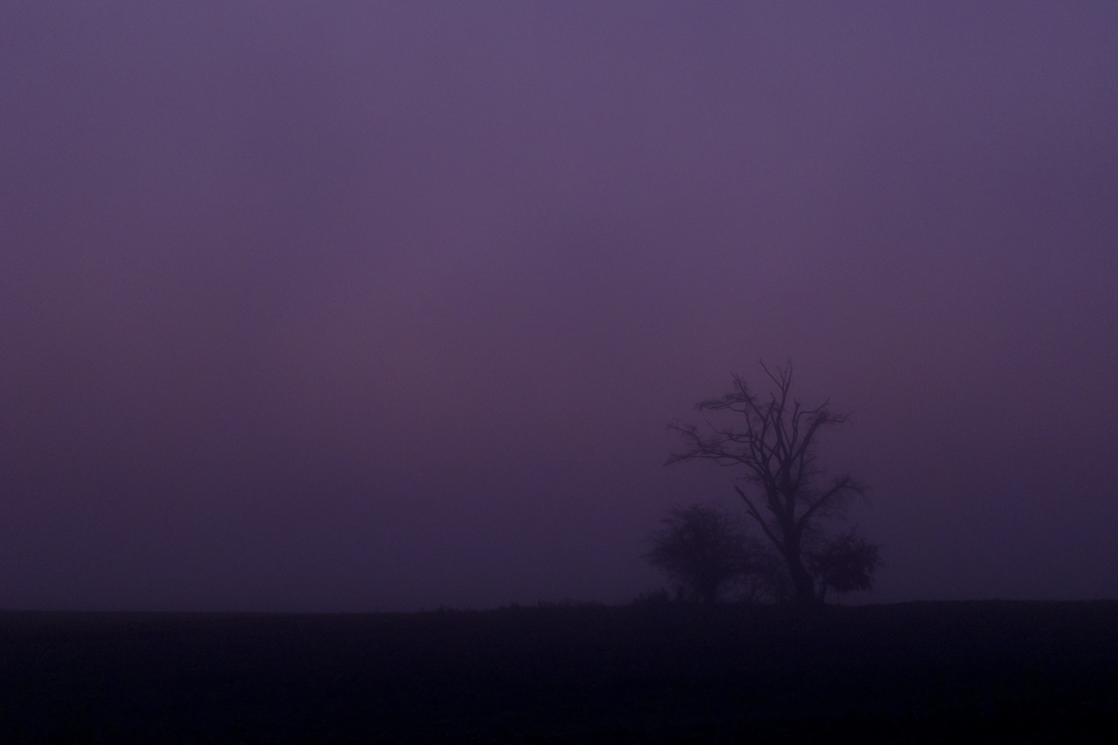 Morgengrauen im Novembernebel