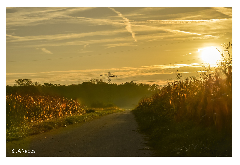 Morgengrauen in Farbe