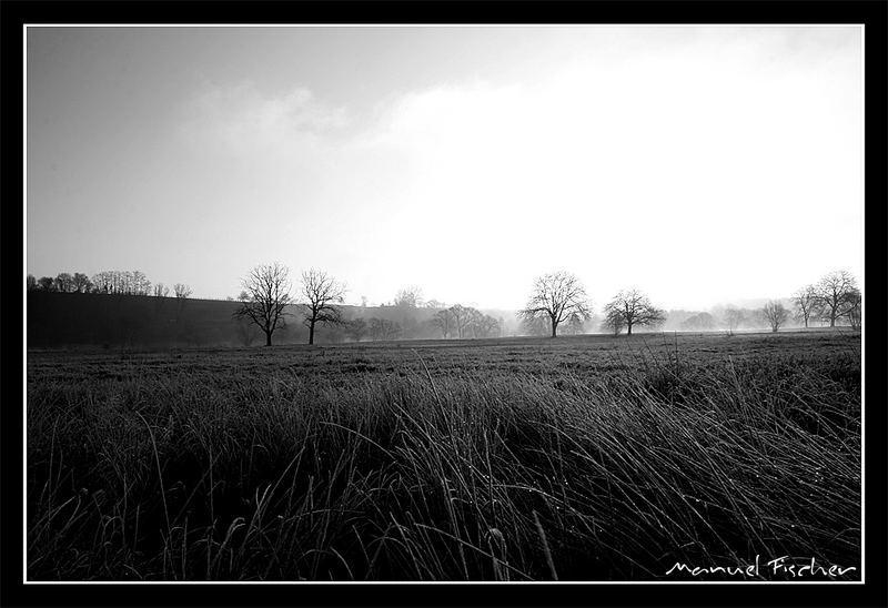 Morgengrauen in Heinsheim