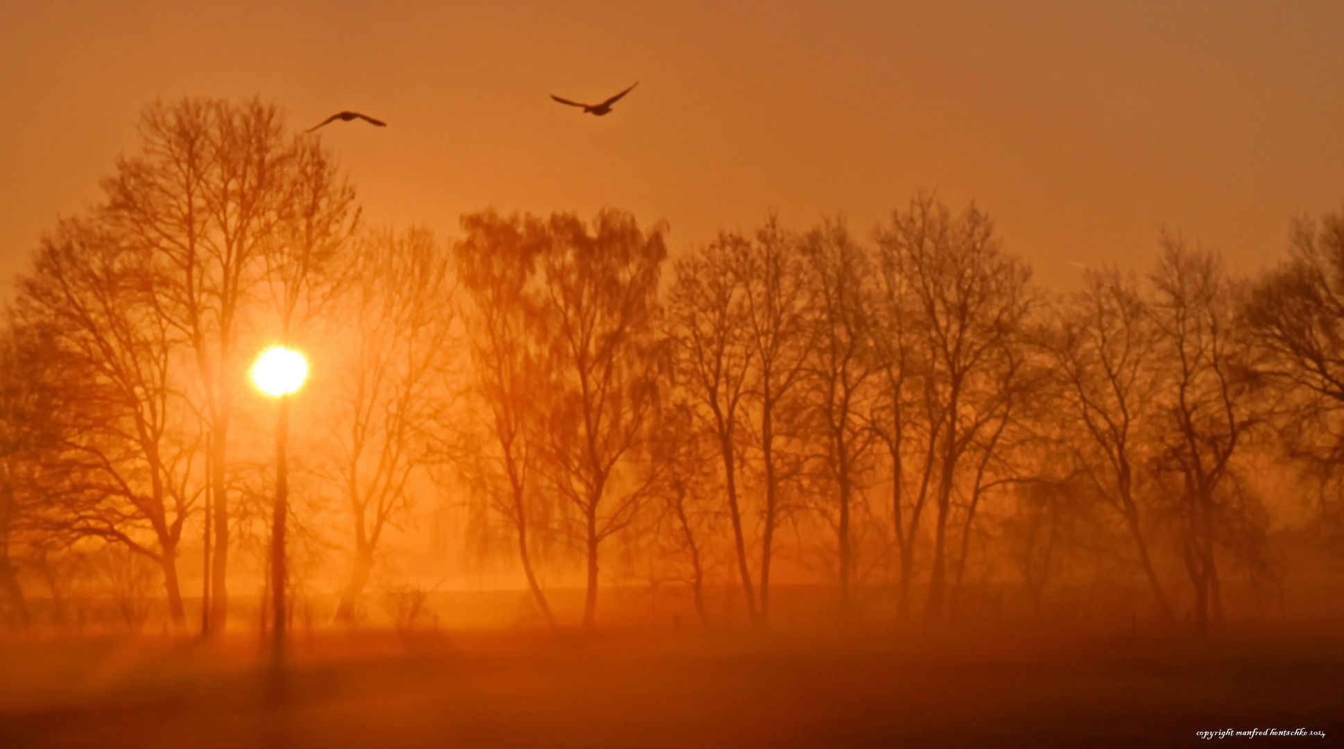 Morgengrüße aus dem Münsterland