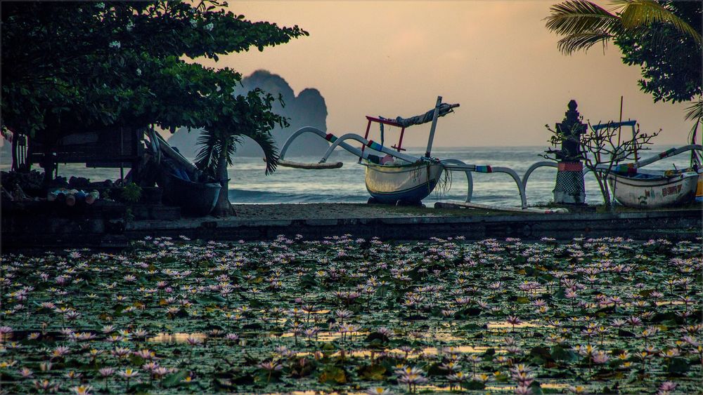 * Morgengruß aus Bali...