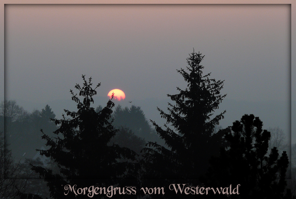 Morgengruß