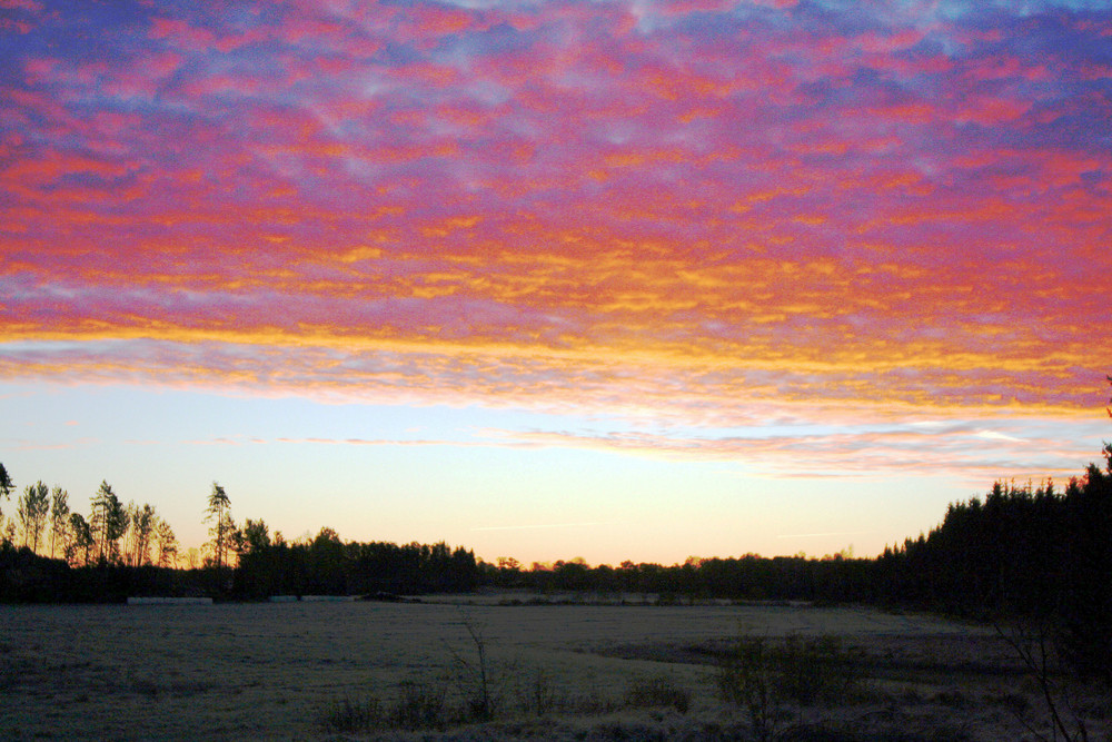 MORGENGRUß