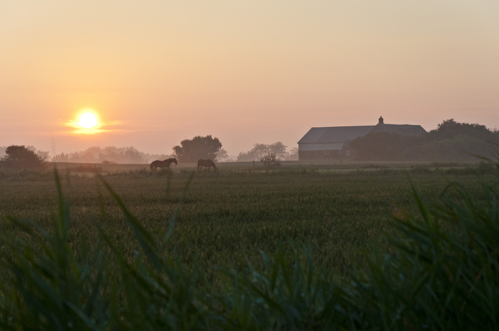 Morgengruß