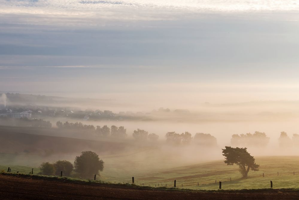 Morgenhauch