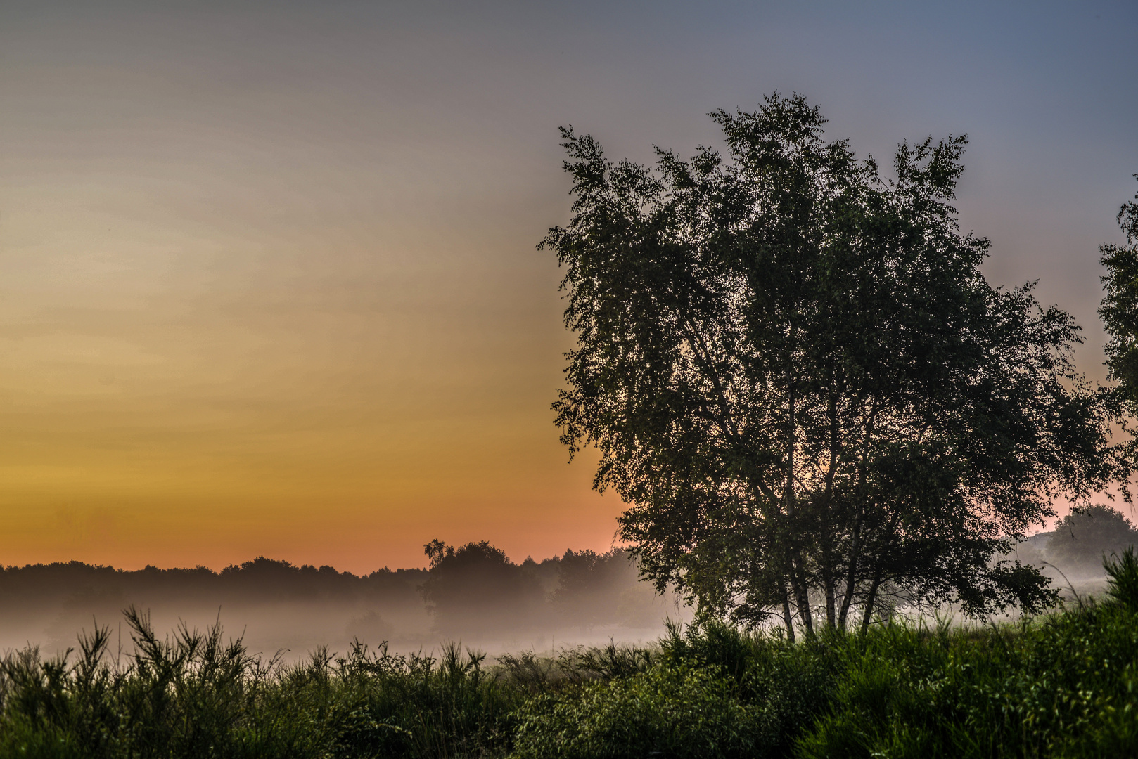 Morgenheide