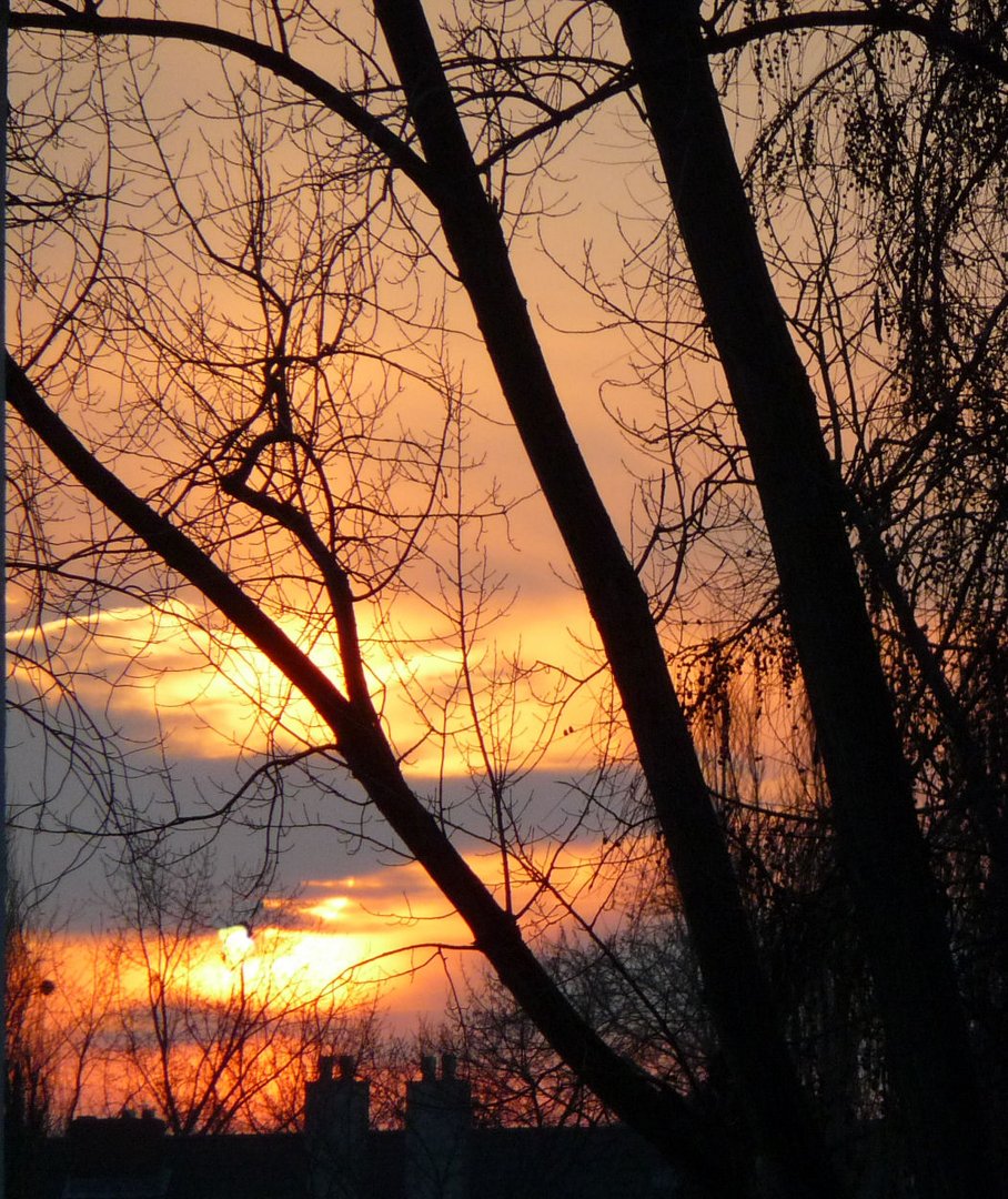 Morgenhimmel Ende Januar 2012