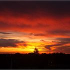 Morgenhimmel über dem Strelasund