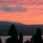 Morgenhimmel über dem Zürichsee