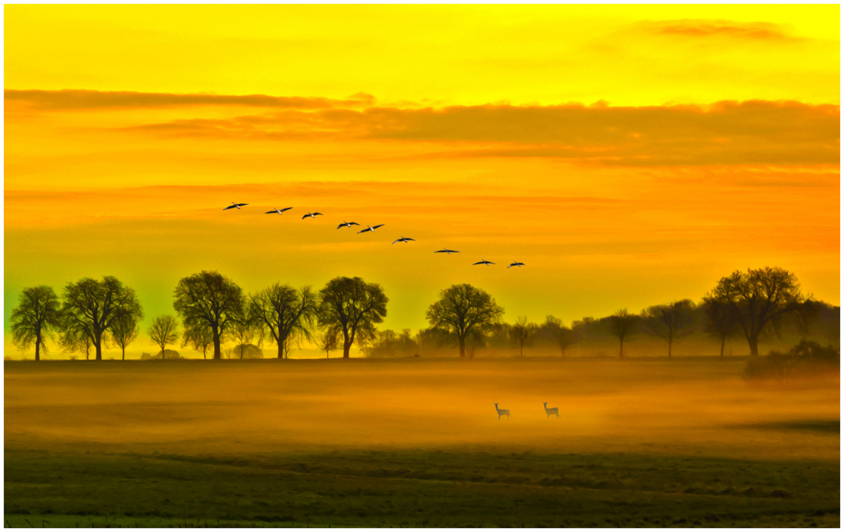 Morgenidyll am Rotmurhof, Mecklenburg