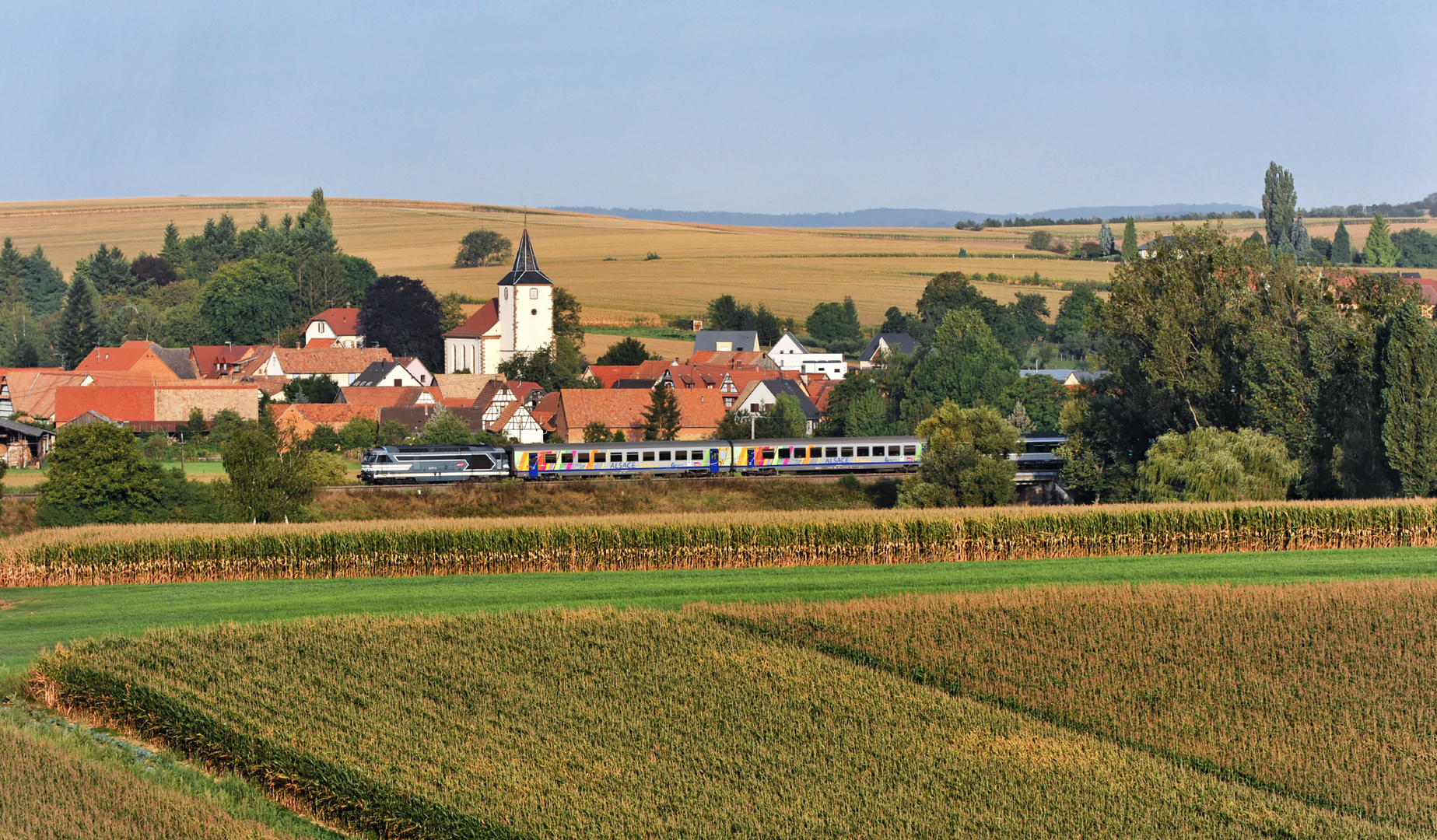 Morgenidyll im Krummen Elsaß