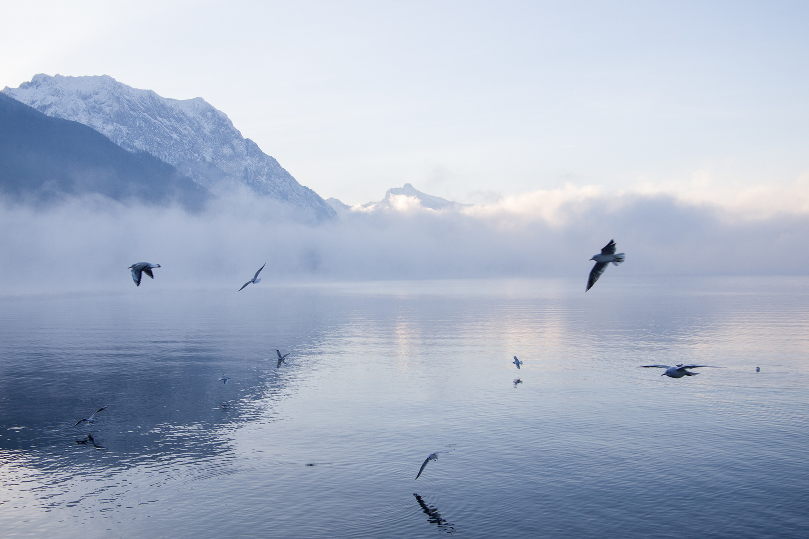 Morgenimpression am Traunsee