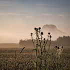 Morgenimpression Elbsandsteingebirge