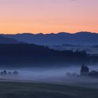 Morgenimpressionen im Allgäu