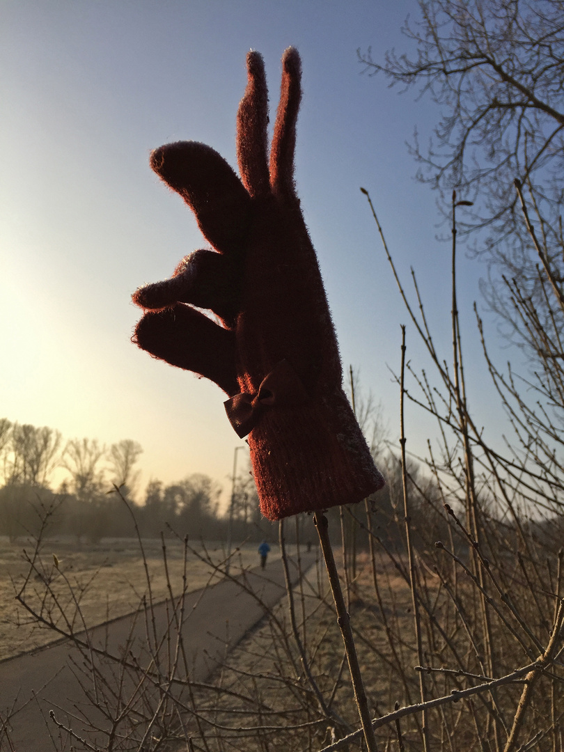 MorgenJogg Fundstück - Handyshot