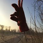 MorgenJogg Fundstück - Handyshot