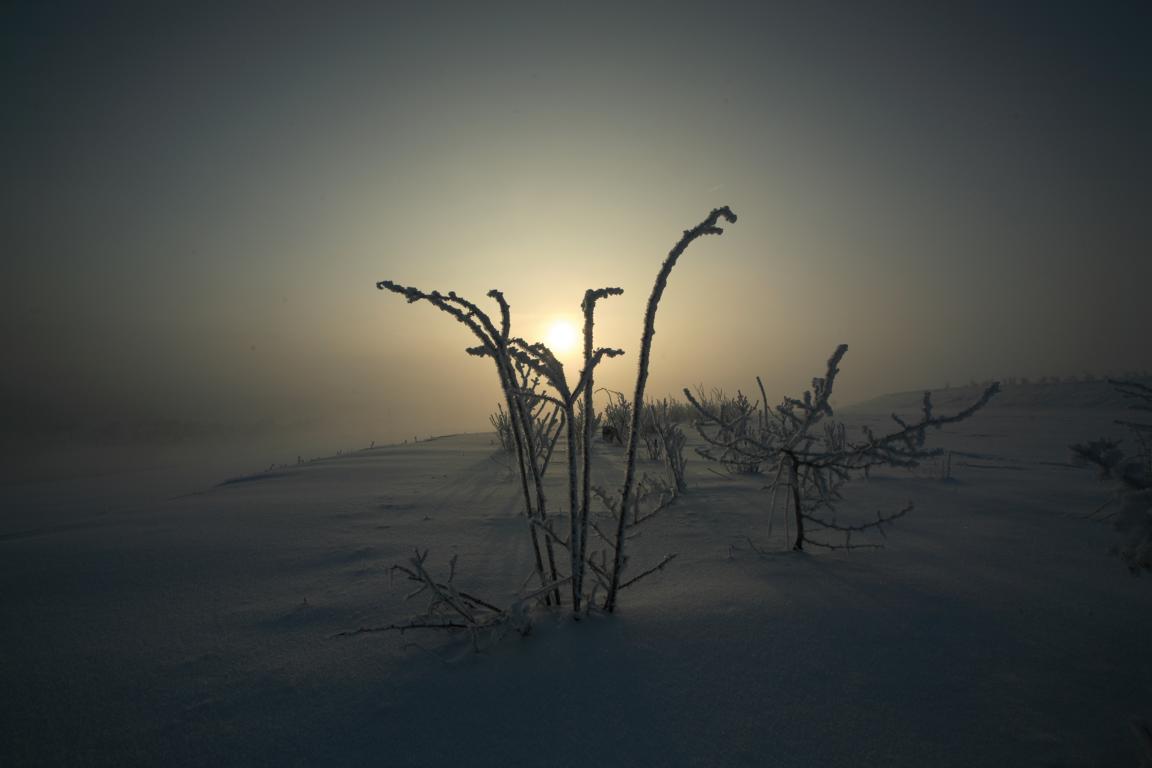 Morgenkälte