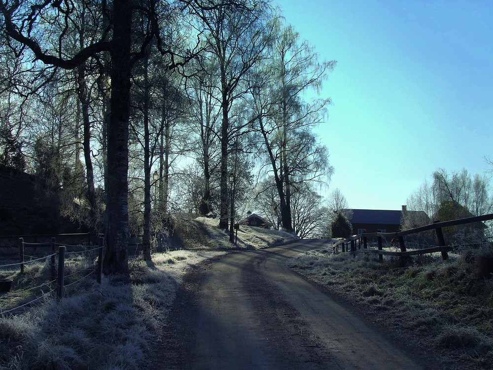 Morgenkälte