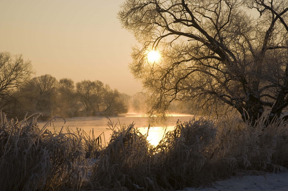 Morgenkälte by Robert vA