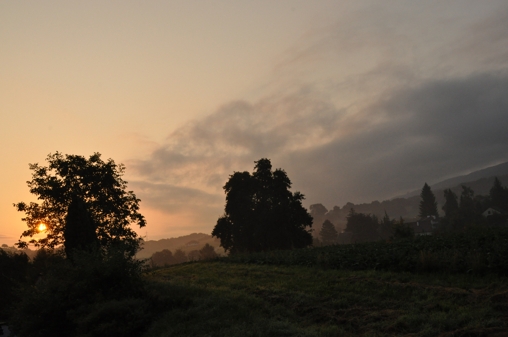 morgenkraft