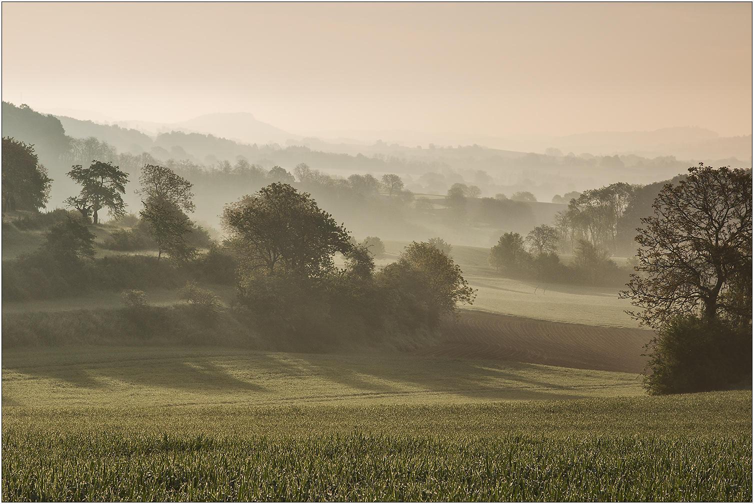 Morgenland