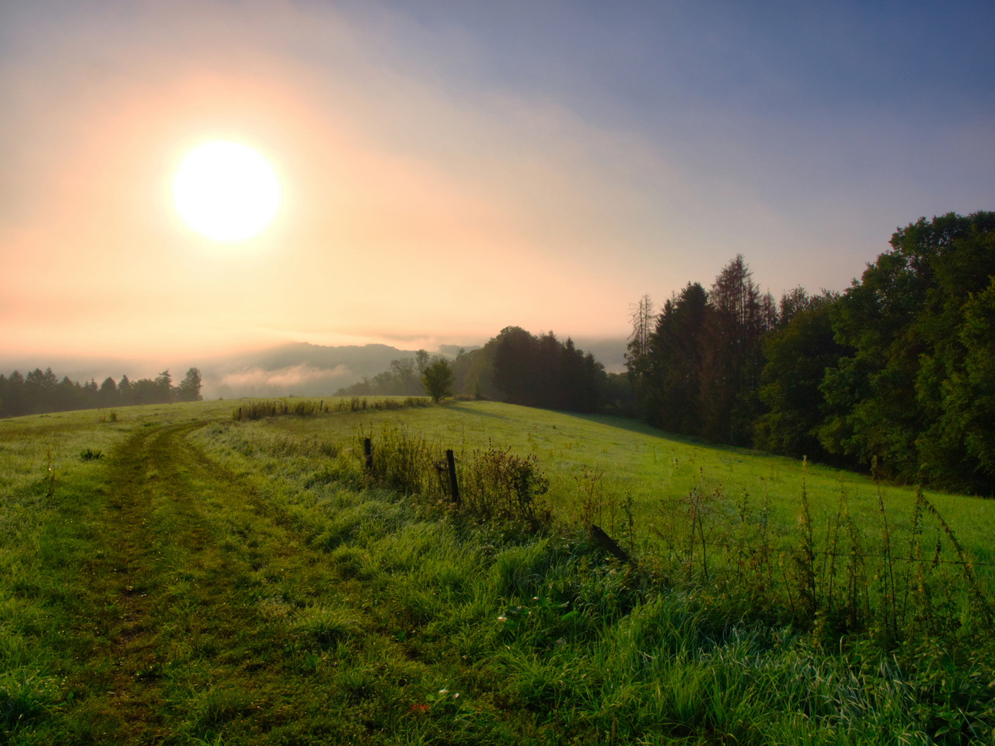 Morgenlandschaft