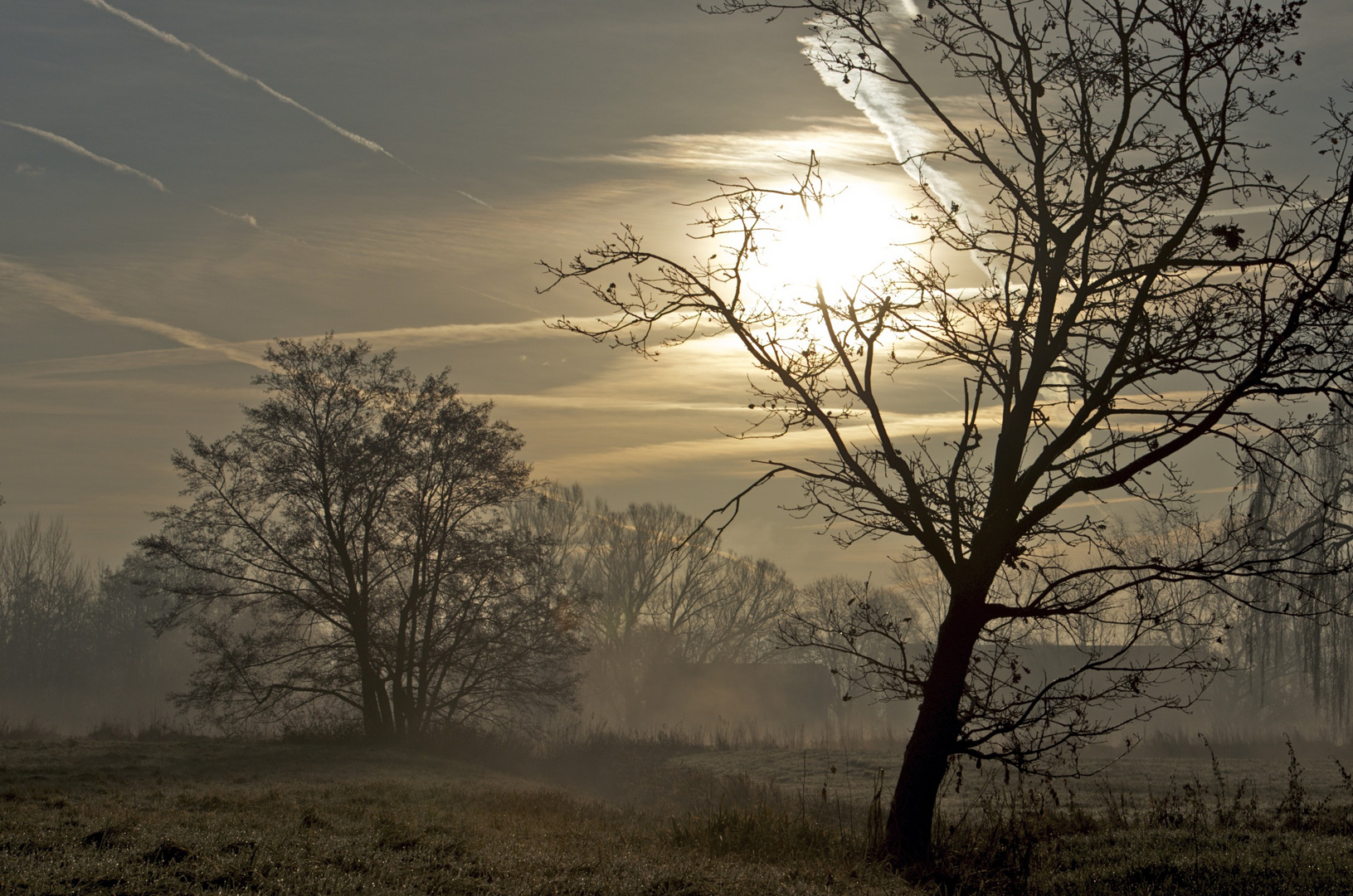 Morgenlandschaft im Herbst