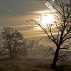 Morgenlandschaft im Herbst