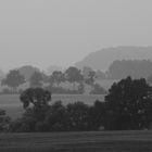 Morgenlandschaft Schwarz-Weiß