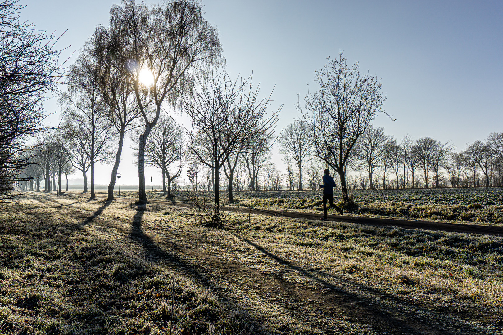 Morgenlauf