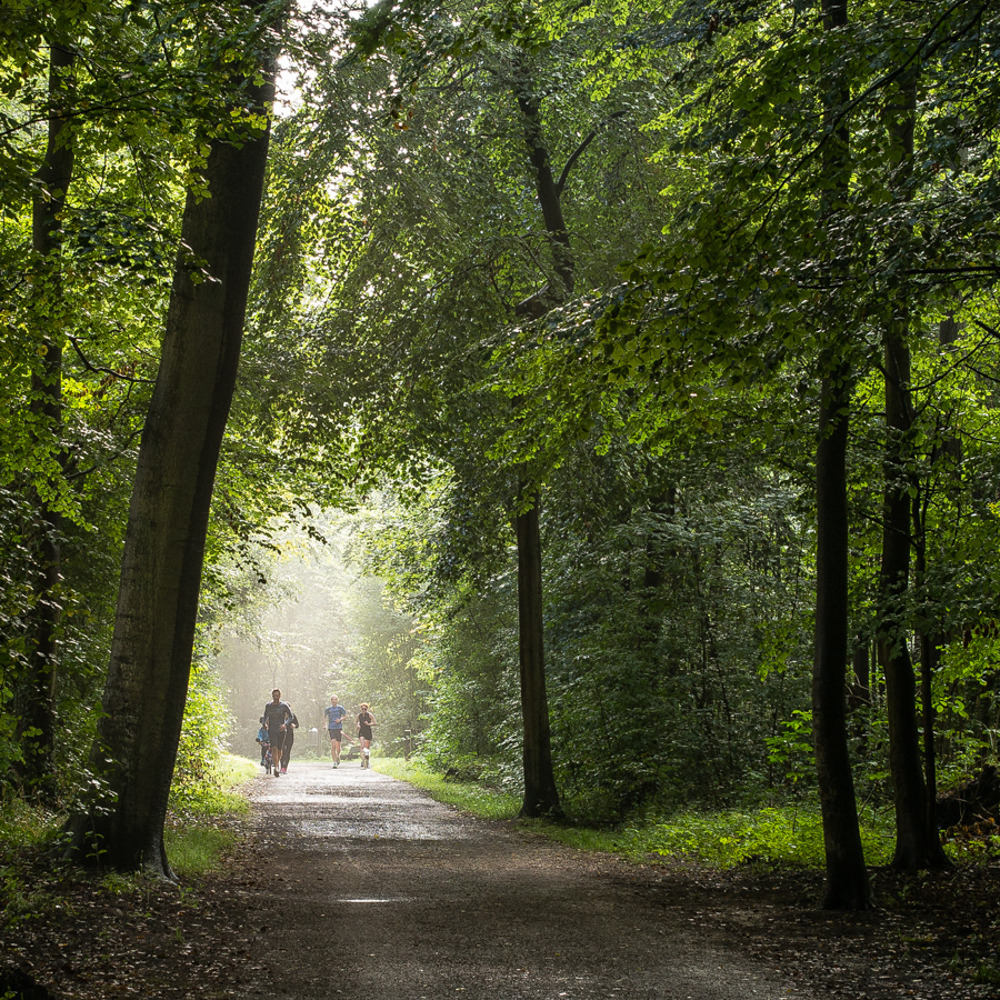 Morgenlauf