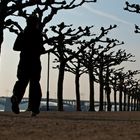 Morgenlauf auf der Rheinpromenade