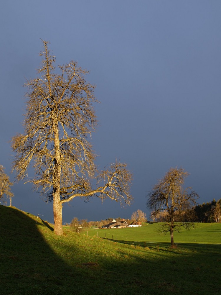 Morgenleuchten