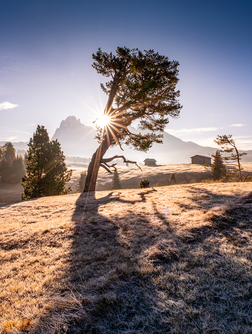 morgenleuchten