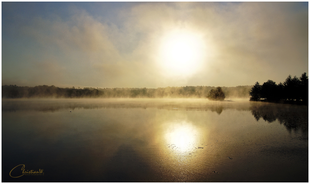 morgenliche Nebel