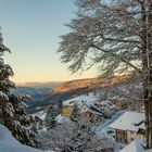 Morgenlicher Fensterblick