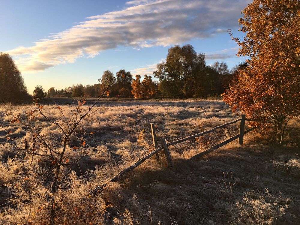 Morgenlicher Frost mit Wolken