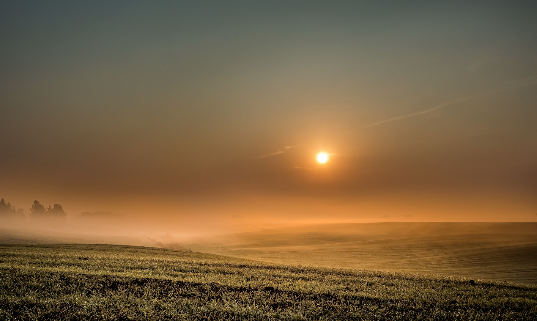 Morgenlicher Nebel